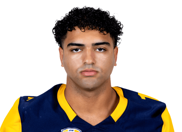 Sayed Abuhamdeh headshot