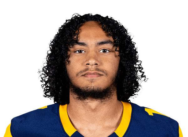Jaihien Roy headshot