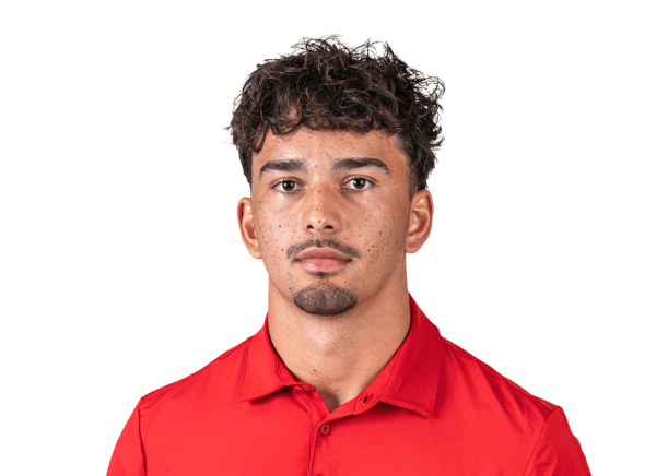 Niko Baumgartner headshot