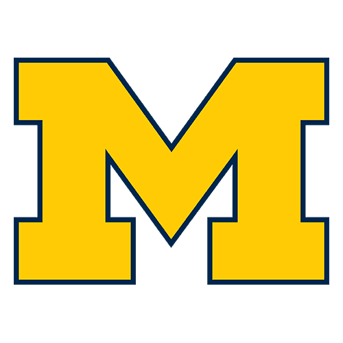Michigan logo