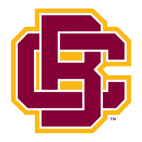 Bethune-Cookman Wildcats logo