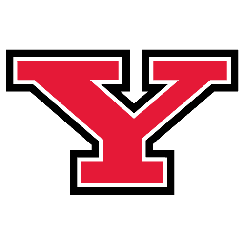 Youngstown State Penguins logo